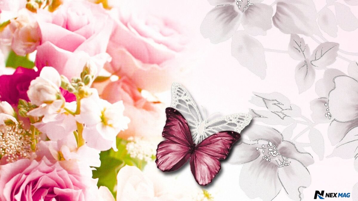 pink wallpaper